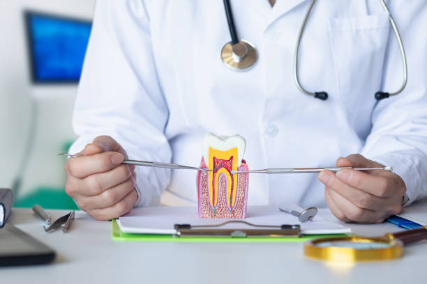 Best Emergency Dentist for Lost Fillings or Crowns in Orangeburg, NY